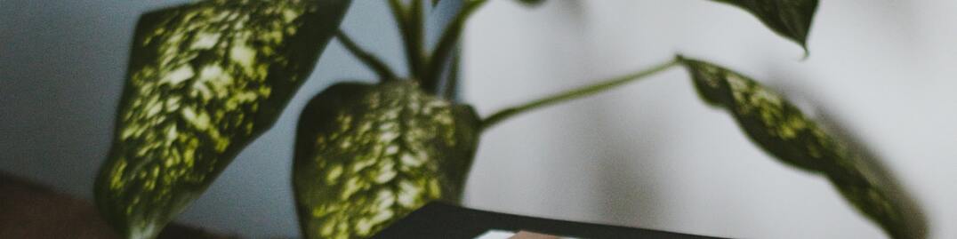 linkedin background images plants