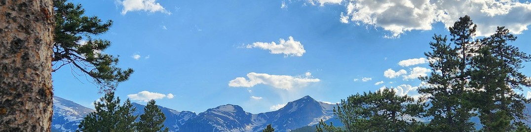 Forest - LinkedIn Background - Get some inspiration!