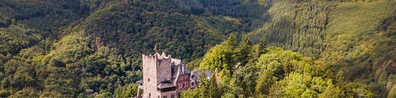 A Castle In The Middle Of The Forest - Free LinkedIn Background Photo