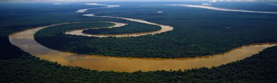 Amazon River - Free LinkedIn Background Photo