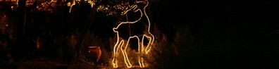 Animal Formed In Lights - Free LinkedIn Background Photo