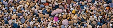 Annual Pebbles Convention - Free LinkedIn Background Photo
