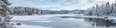 Beautiful Lake With Trees During Winter - Free LinkedIn Background Photo