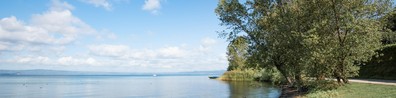Calm View Of Lake With Trees And Rock Formations - Free LinkedIn Background Photo