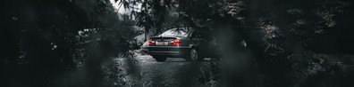 Car In The Middle Of Forest Road - Free LinkedIn Background Photo