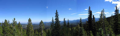 Colorado Forests - Free LinkedIn Background Photo