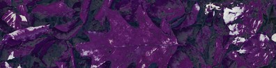 Deep Dark Purple Aubergine Background - Free LinkedIn Background Photo
