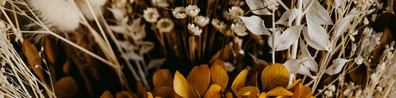Dried Flowers Are Better - Free LinkedIn Background Photo