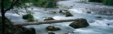 Elwha River - Free LinkedIn Background Photo