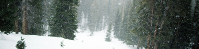 Finally Snow Fell - Free LinkedIn Background Photo