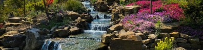 Flowers By The Waterfall - Free LinkedIn Background Photo