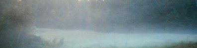 Foggy Morning In Frorest - Free LinkedIn Background Photo