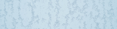 Frozen Pattern - Free LinkedIn Background Photo