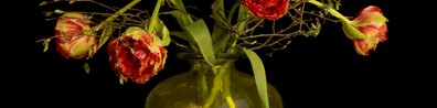 Glass Vase With Flower - Free LinkedIn Background Photo