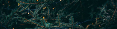 Illuminated Christmas Tree - Free LinkedIn Background Photo