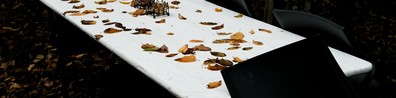 Leaves On The Wooden Table - Free LinkedIn Background Photo