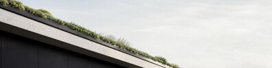 Living Roofline - Free LinkedIn Background Photo