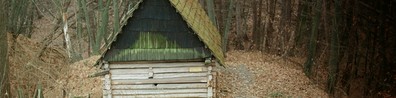 Nest Box On Hut House - Free LinkedIn Background Photo