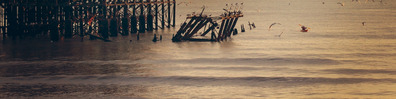 Pier Wreck - Free LinkedIn Background Photo