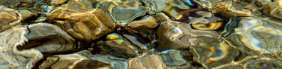 Pristine Waters - Free LinkedIn Background Photo