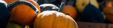Pumpkin Yard - Free LinkedIn Background Photo