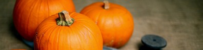 Pumpkins - Free LinkedIn Background Photo