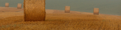 Sheaves of Hay - Free LinkedIn Background Photo