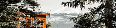 Snowy Mountain Beside Orange Trees - Free LinkedIn Background Photo