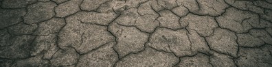 The Soil Is Dry - Free LinkedIn Background Photo