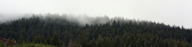 Trees With Fogs Beside The Mountain Covered With Snow - Free LinkedIn Background Photo