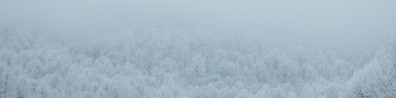 View Of White Christmas - Free LinkedIn Background Photo