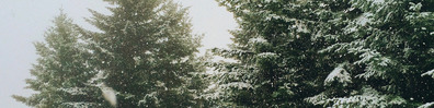 Winter Is Here - Free LinkedIn Background Photo