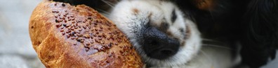 You Got Any Bread For Me Mate - Free LinkedIn Background Photo
