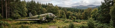 abandoned airplane in forest clearing - Free LinkedIn Background Photo