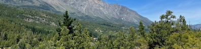 mountain range forest daytime scenery - Free LinkedIn Background Photo