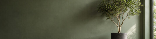 Quiet Growth - Free LinkedIn Background Photo