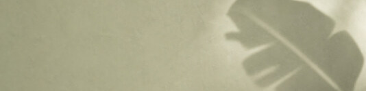 Sage Leaf Shadow - Free LinkedIn Background Photo