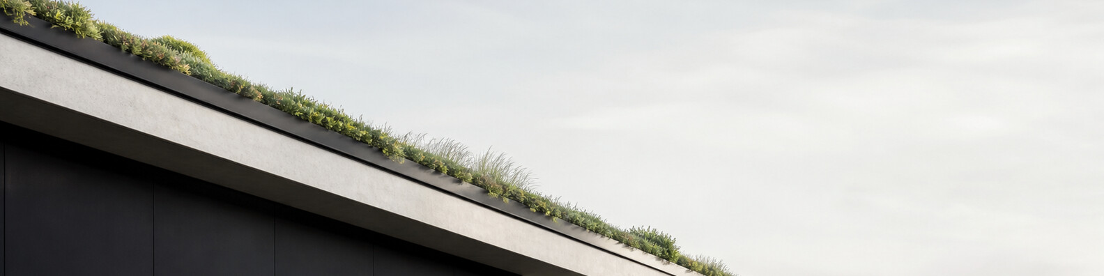 Living Roofline - Free LinkedIn Background Photo