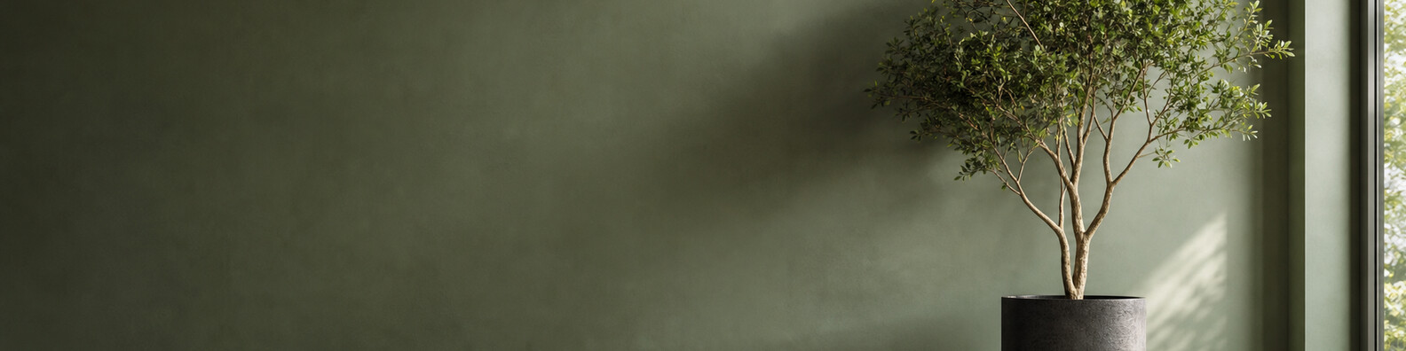 Quiet Growth - Free LinkedIn Background Photo