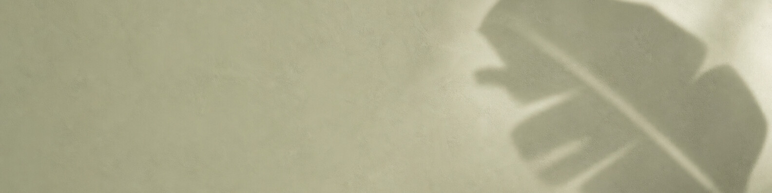 Sage Leaf Shadow - Free LinkedIn Background Photo